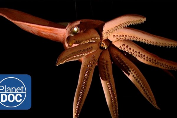 Kraken cc ссылка